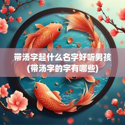 带汤字起什么名字好听男孩(带汤字的字有哪些)