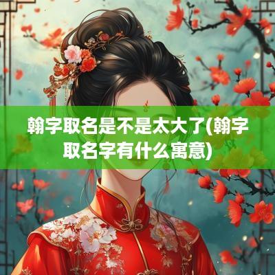 翰字取名是不是太大了(翰字取名字有什么寓意)