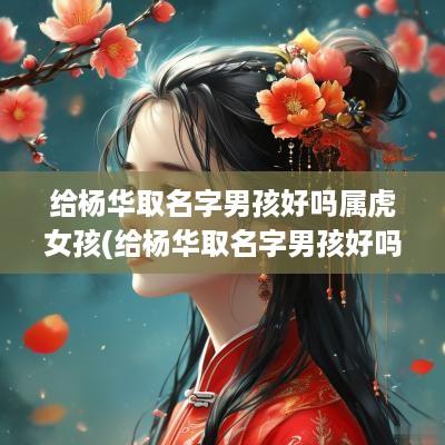 给杨华取名字男孩好吗属虎女孩(给杨华取名字男孩好吗属虎的)