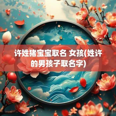 许姓猪宝宝取名 女孩(姓许的男孩子取名字)
