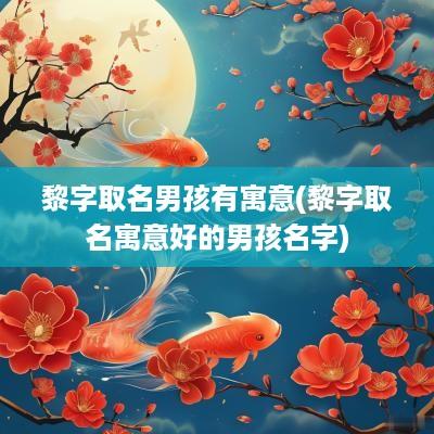 黎字取名男孩有寓意(黎字取名寓意好的男孩名字)