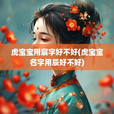 虎宝宝用宸字好不好(虎宝宝名字用辰好不好)