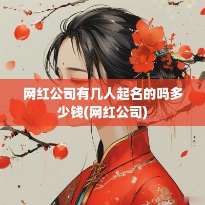 网红公司有几人起名的吗多少钱(网红公司)