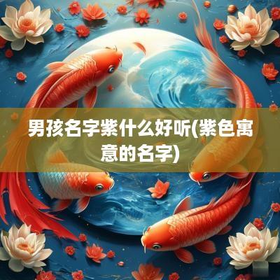 男孩名字紫什么好听(紫色寓意的名字)