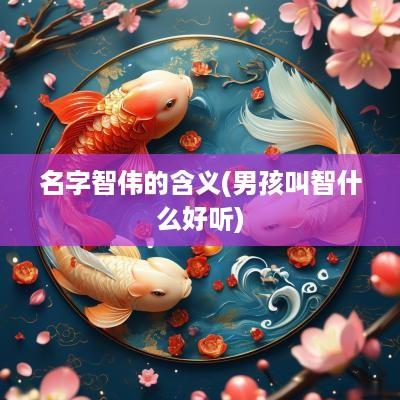 名字智伟的含义(男孩叫智什么好听)