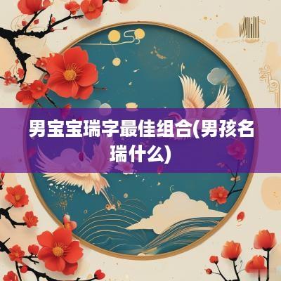 男宝宝瑞字最佳组合(男孩名瑞什么)