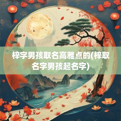 梓字男孩取名高雅点的(梓取名字男孩起名字)