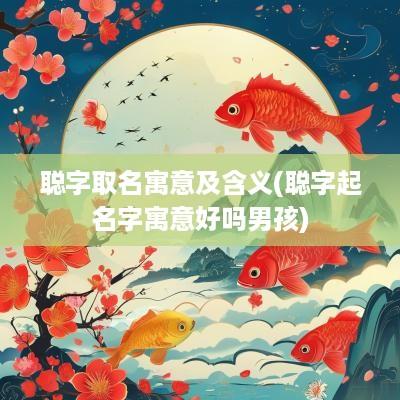 聪字取名寓意及含义(聪字起名字寓意好吗男孩)