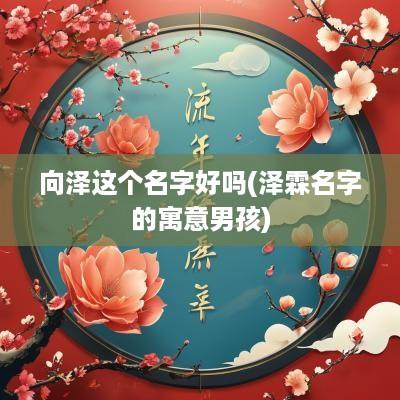 向泽这个名字好吗(泽霖名字的寓意男孩)