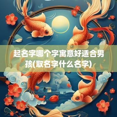 起名字哪个字寓意好适合男孩(取名字什么名字)