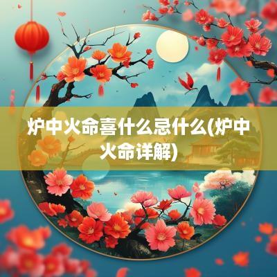 炉中火命喜什么忌什么(炉中火命详解)