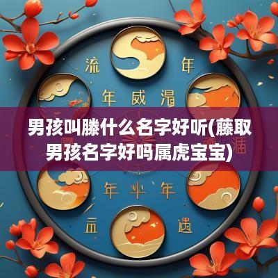 男孩叫滕什么名字好听(藤取男孩名字好吗属虎宝宝)