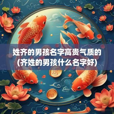 姓齐的男孩名字高贵气质的(齐姓的男孩什么名字好)