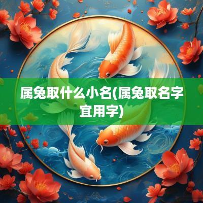 属兔取什么小名(属兔取名字宜用字)