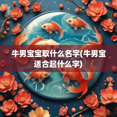 牛男宝宝取什么名字(牛男宝适合起什么字)