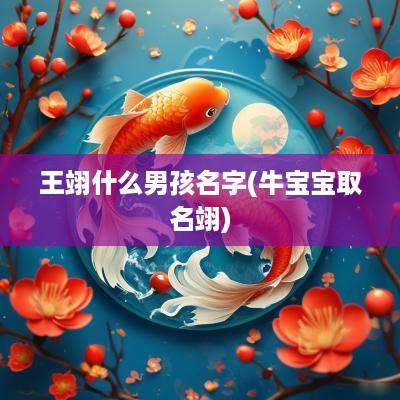 王翊什么男孩名字(牛宝宝取名翊)