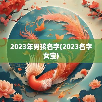 2025年男孩名字(2025名字女宝)