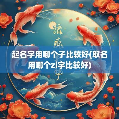 起名字用哪个子比较好(取名用哪个zi字比较好)