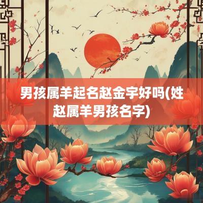 男孩属羊起名赵金宇好吗(姓赵属羊男孩名字)