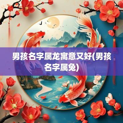 男孩名字属龙寓意又好(男孩名字属兔)