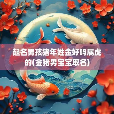 起名男孩猪年姓金好吗属虎的(金猪男宝宝取名)