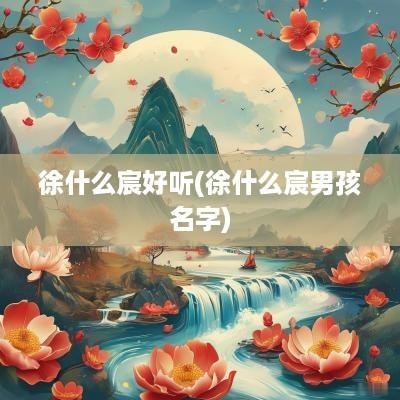 徐什么宸好听(徐什么宸男孩名字)