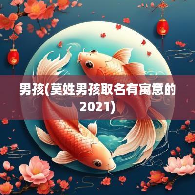 男孩(莫姓男孩取名有寓意的2025)