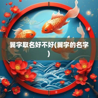 翼字取名好不好(翼字的名字)