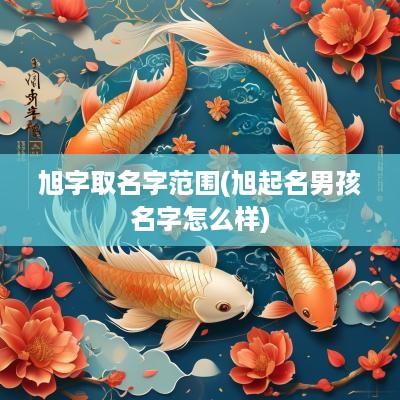旭字取名字范围(旭起名男孩名字怎么样)