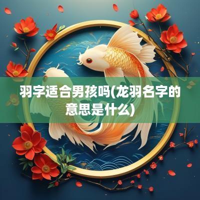 羽字适合男孩吗(龙羽名字的意思是什么)