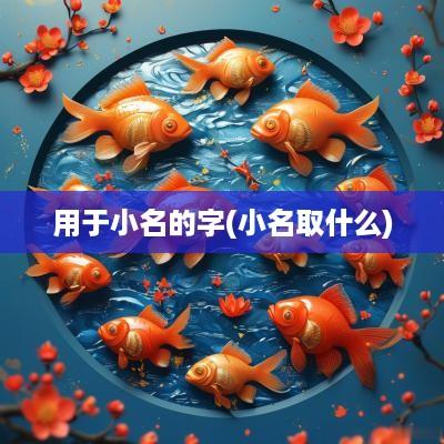 用于小名的字(小名取什么)