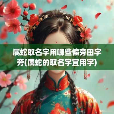 属蛇取名字用哪些偏旁田字旁(属蛇的取名字宜用字)