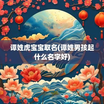 谭姓虎宝宝取名(谭姓男孩起什么名字好)