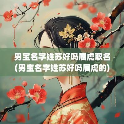 男宝名字姓苏好吗属虎取名(男宝名字姓苏好吗属虎的)