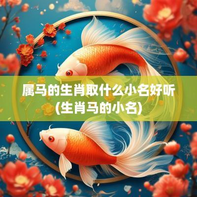 属马的生肖取什么小名好听(生肖马的小名)