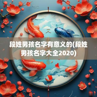 段姓男孩名字有意义的(段姓男孩名字大全2025)