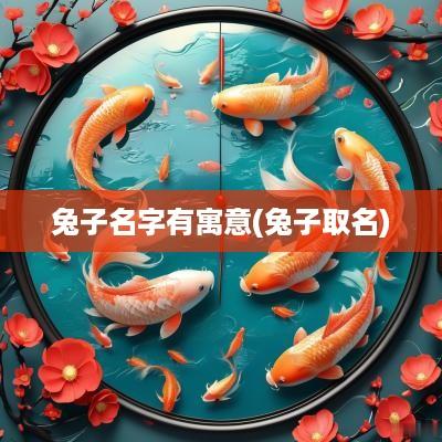 兔子名字有寓意(兔子取名)