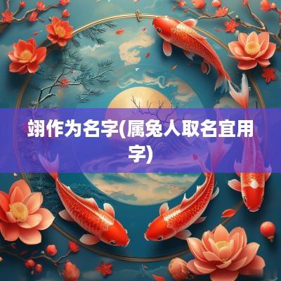 翊作为名字(属兔人取名宜用字)