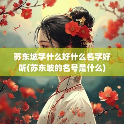苏东坡字什么好什么名字好听(苏东坡的名号是什么)