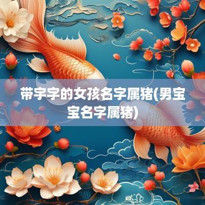 带宇字的女孩名字属猪(男宝宝名字属猪)