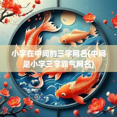 小字在中间的三字网名(中间是小字三字霸气网名)