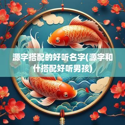 源字搭配的好听名字(源字和什搭配好听男孩)