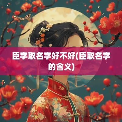 臣字取名字好不好(臣取名字的含义)