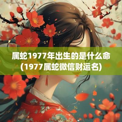 属蛇1977年出生的是什么命(1977属蛇微信财运名)
