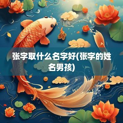 张字取什么名字好(张字的姓名男孩)