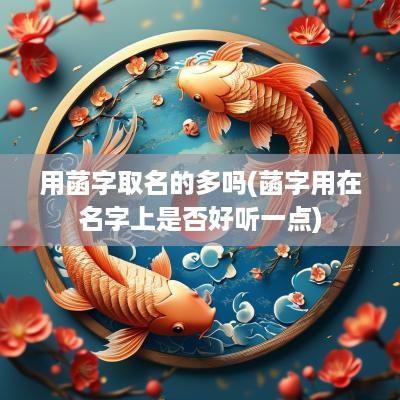 用菡字取名的多吗(菡字用在名字上是否好听一点)
