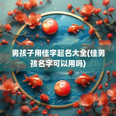 男孩子用佳字起名大全(佳男孩名字可以用吗)