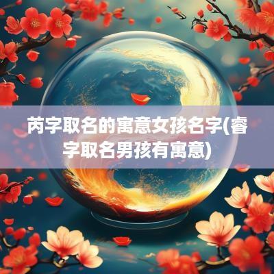 芮字取名的寓意女孩名字(睿字取名男孩有寓意)