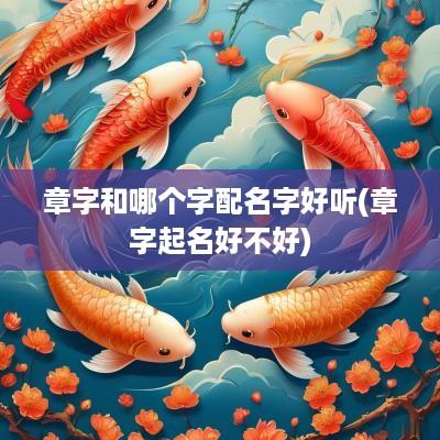 章字和哪个字配名字好听(章字起名好不好)