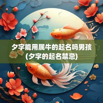夕字能用属牛的起名吗男孩(夕字的起名禁忌)